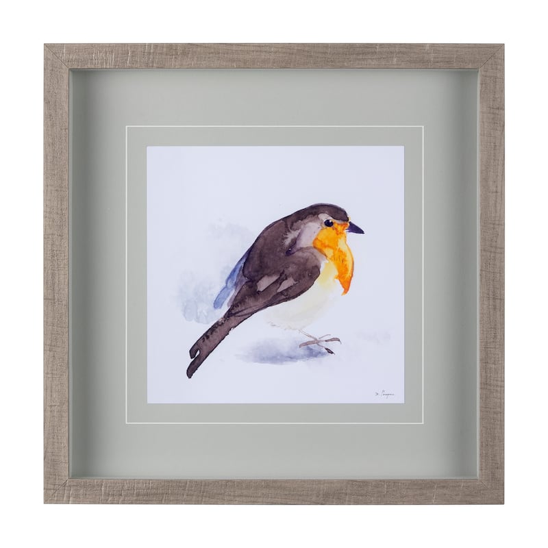 Robin II Framed Art Print