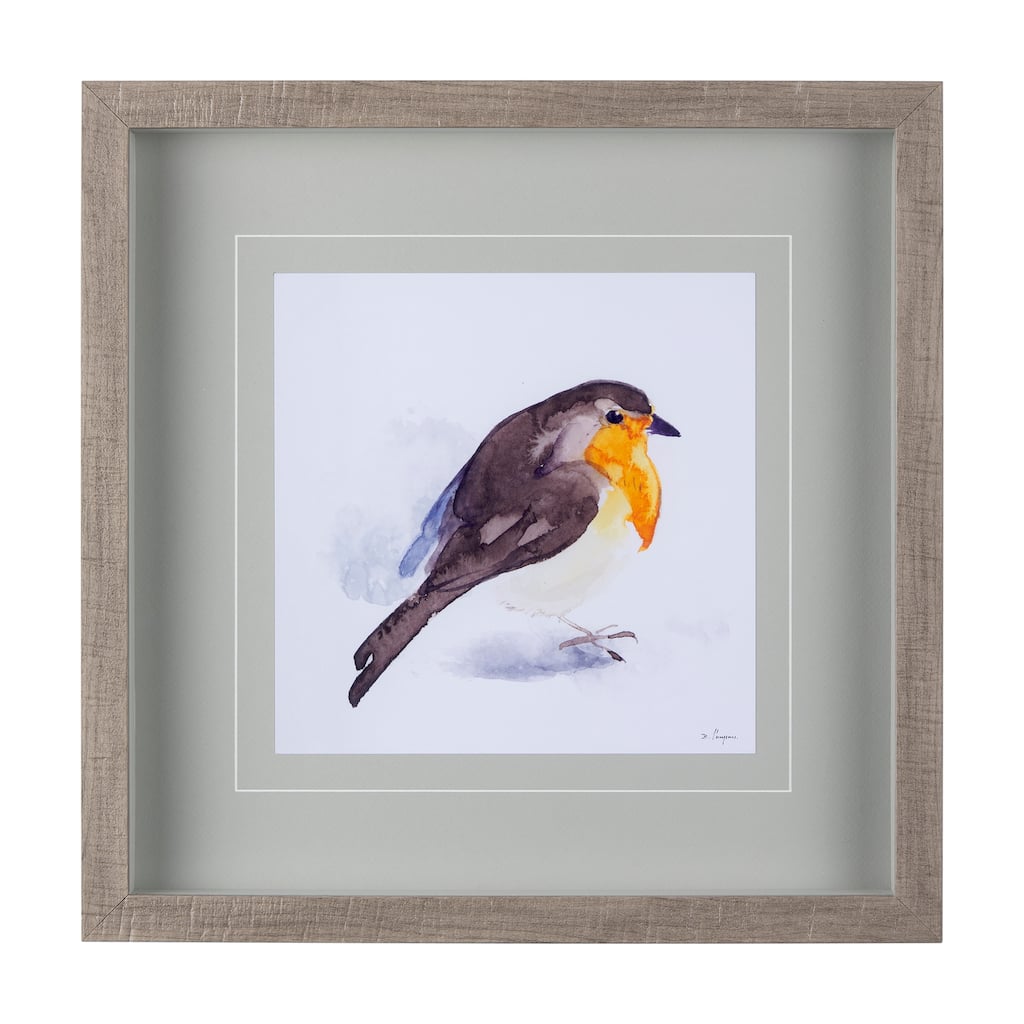 Robin II Framed Art Print