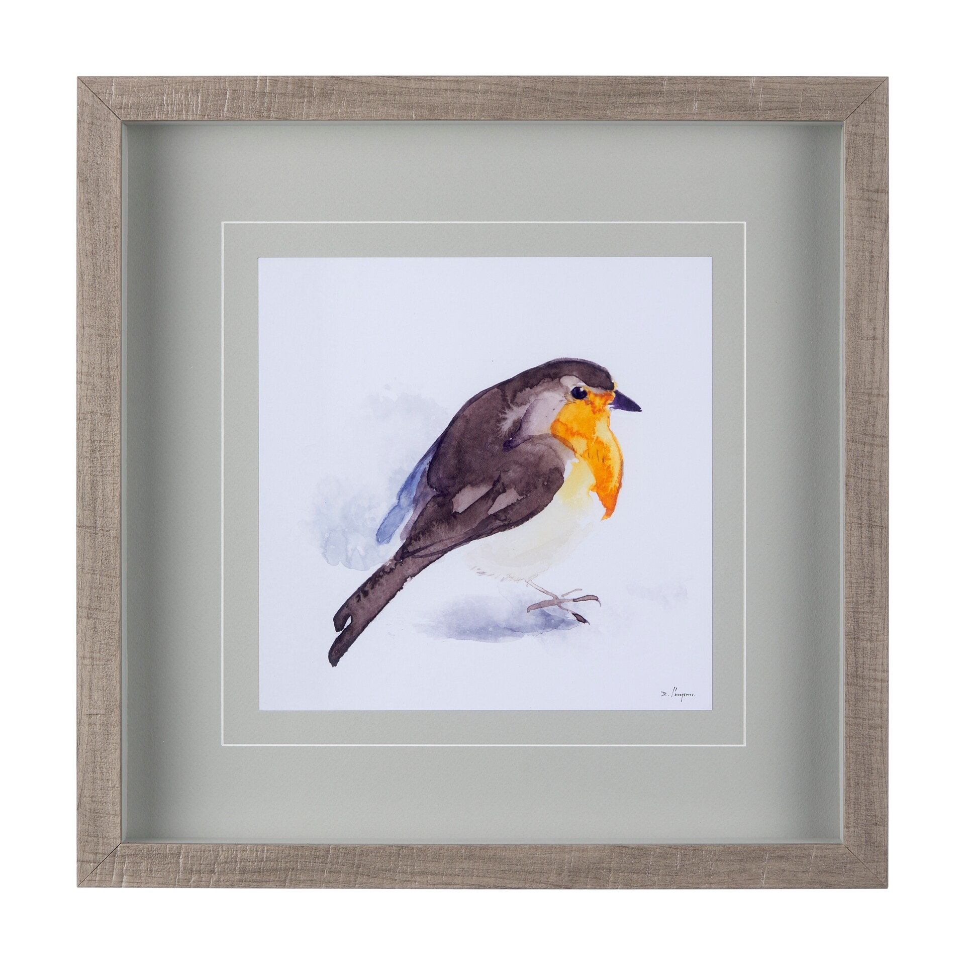 Mercana Robin II by Mercana Studio a Hand Embellished Textured Framed Art Print Matted under Glass