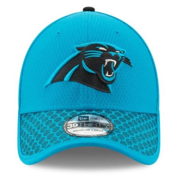 panthers baseball cap