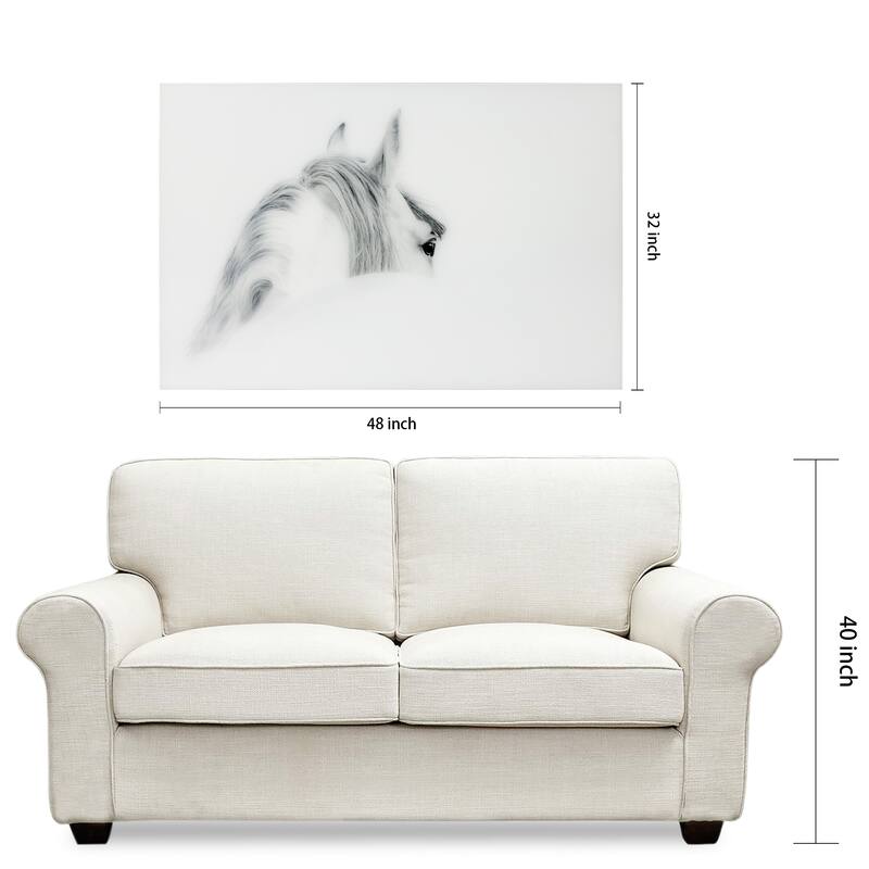 "Blanco Mare Horse" Frameless Free Floating Tempered Glass Panel Graphic Wall Art