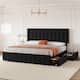 Option Black