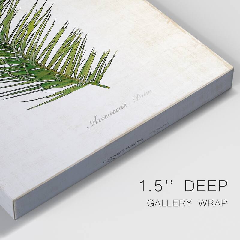 Palm Botanical II Premium Gallery Wrapped Canvas - Ready to Hang