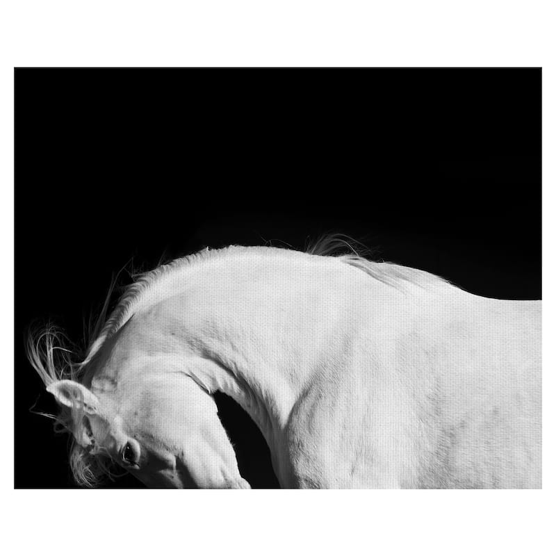 White Beauty by Belle Maison Canvas Art Print