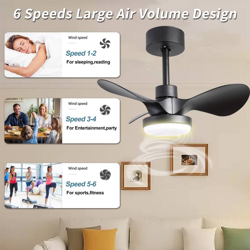 24 inch Small Ceiling Fan with Light Remote 6 Speed Quiet Reversible DC Motor Low Profile Black