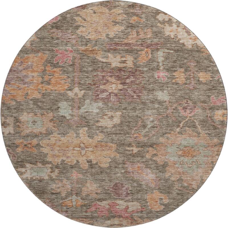 Premium Washable Super Soft Vintage Traditional Mayfield Rug