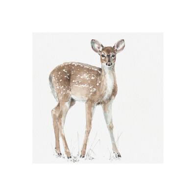 Forest Friends XII (Deer) (30 x 30) Canvas Art Print
