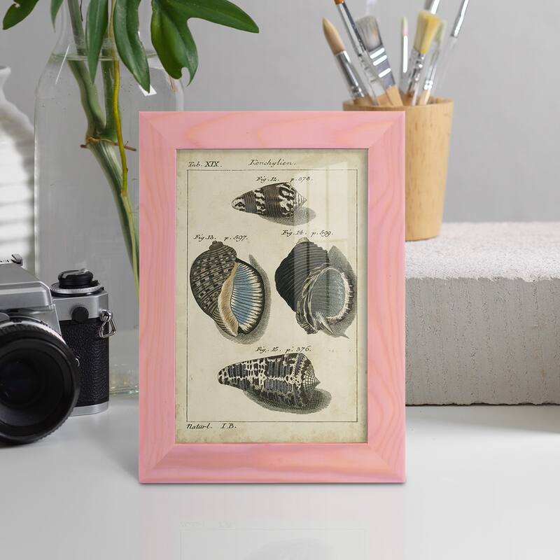Vintage Shell Study III -Framed Print w/glass-Cherry Red