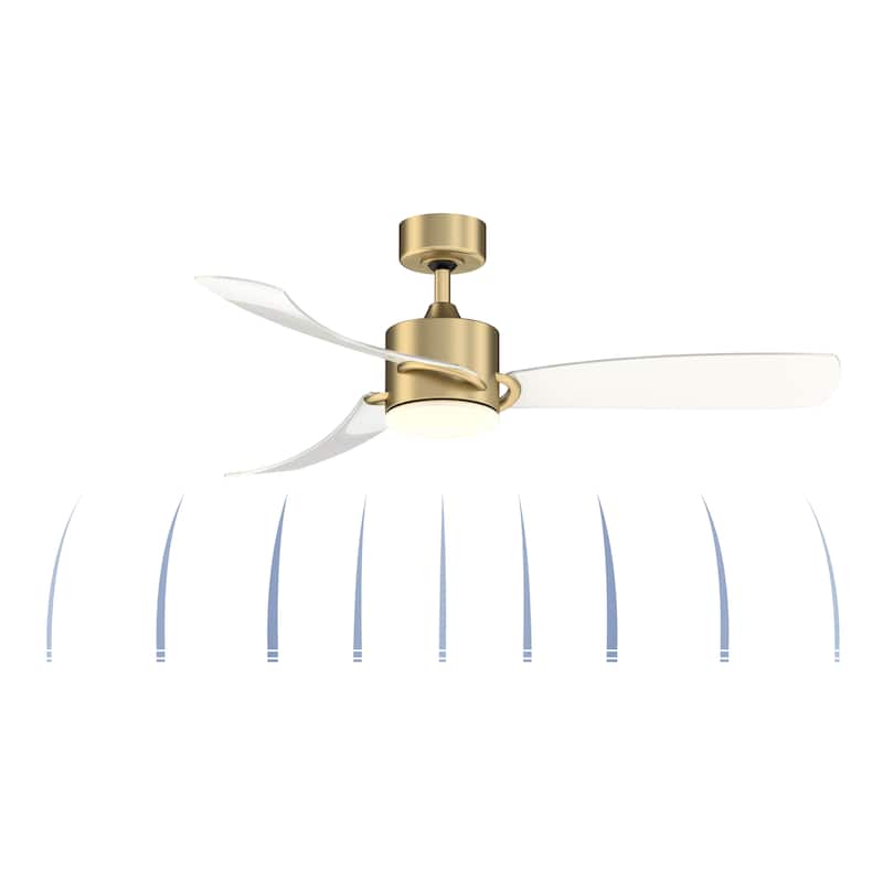 Fanimation SculptAire 52 inch Indoor/Outdoor Ceiling Fan with LED Light Kit and Remote - Brushed Satin Brass with Clear Blades