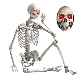 5.5ft Halloween Posable Skeleton Sound Activated LED Glowing Eyes