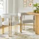 Option Ivory
