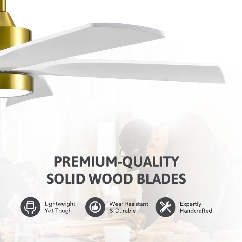 52" Ceiling Fan with Dimmable LED Lights