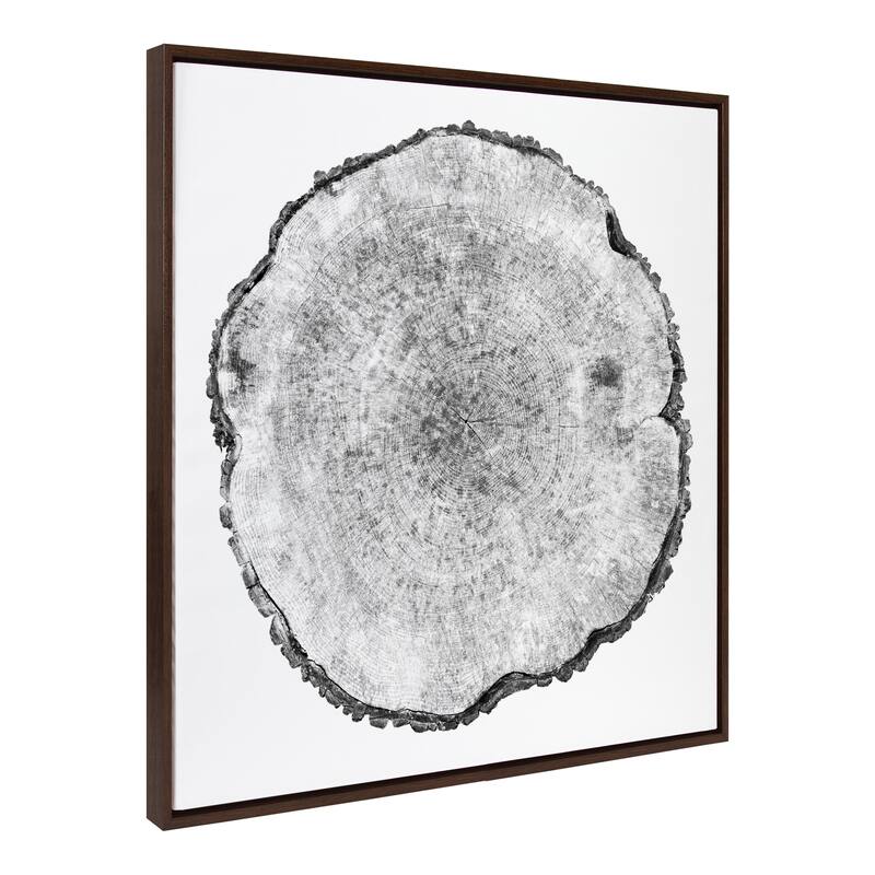 Kate and Laurel Sylvie Rings Framed Canvas by Emiko and Mark Franzen - 30x30 - Brown