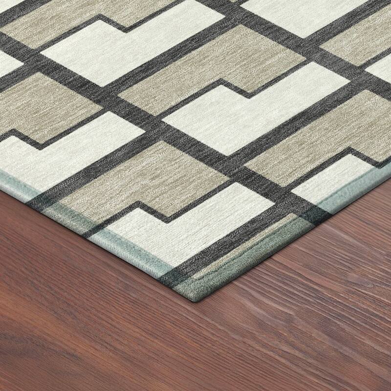 Machine Washable Indoor/ Outdoor Modern Cody Chantille Rug