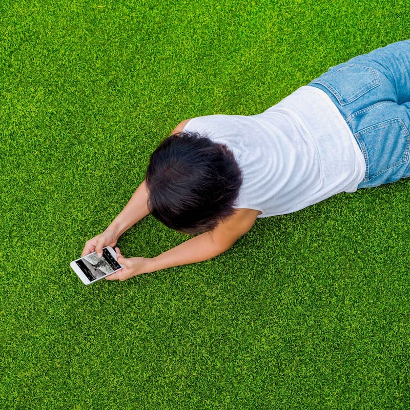 ALEKO Artificial Synthetic Landscape Fake 4 x 6 ft Grass Lawn Carpet Mat Turf - 4 x 6 ft