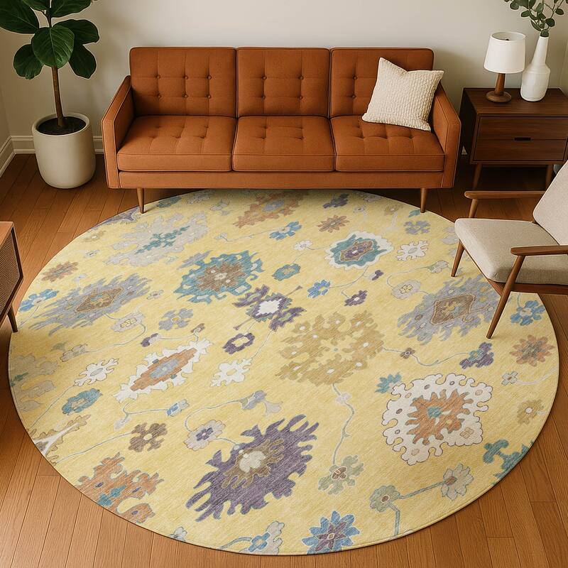 Machine Washable Indoor/ Outdoor Traditonal Delhi Chantille Rug