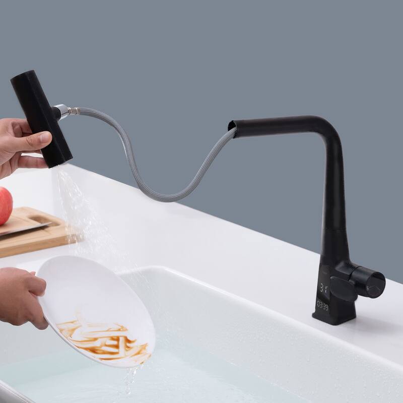 Topcraft Stainless Steel Pull Down Kitchen Faucet