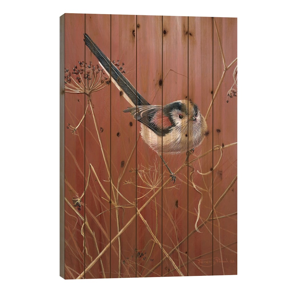 Long Tailed Tit Print On Wood by Jeremy Paul - Multi-Color