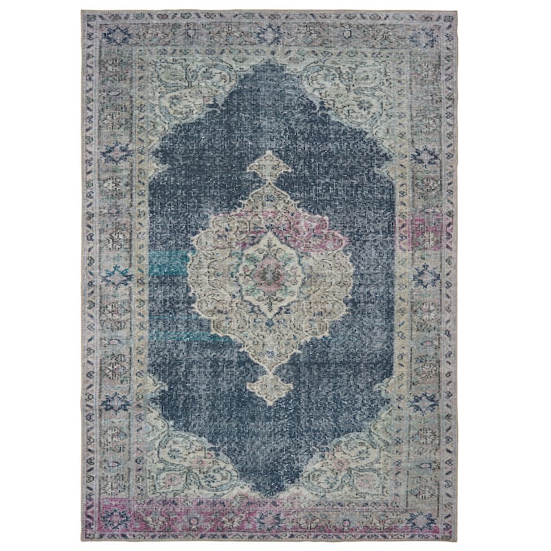 Roanne Blue Grey Oriental Medallion Traditional Casual Area Rug