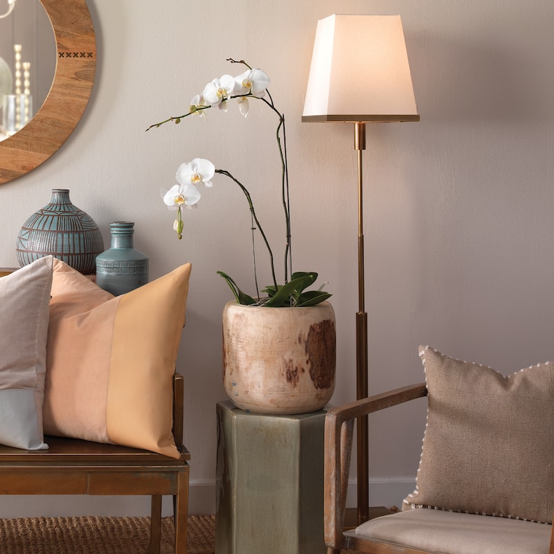 Jamie Young Jud 1-Light Steel Floor Lamp