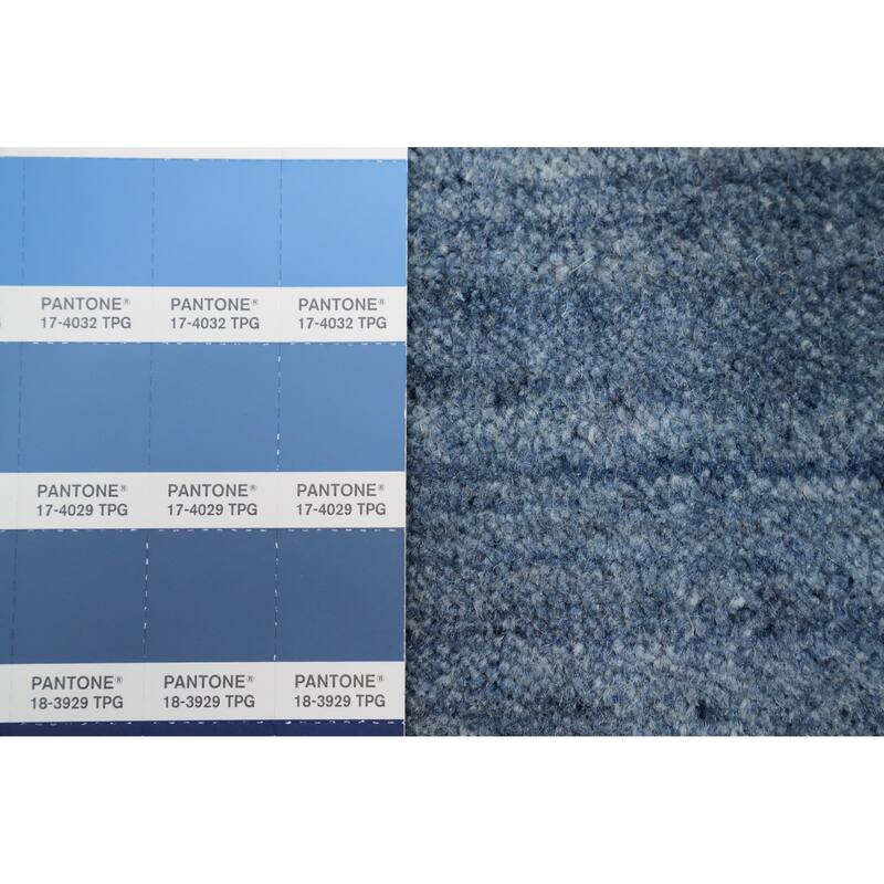 Hand Knotted Oriental 100% Wool Carpet Tribal Animal Pictorial Navy Blue & Blues Gabbeh Area Rug - 4' 10'' X 3' 0''