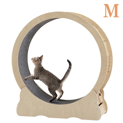 Cat Exercise Wheel - Indoor Cat Treadmill with Carpeted Running Track, Safety Cat Treadmill with Latch, Weighted Wheel for Cats