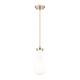 Option Champagne Bronze / Gloss White Shade