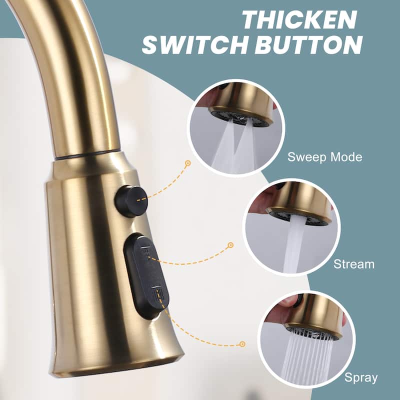 WOWOW Pull Down Kitchen Faucet Spray Head with 9 Adapters Kit