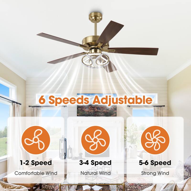 52" Modern Gold Smart Dimmable RGB Ceiling Fan with Light and Remote and App Control