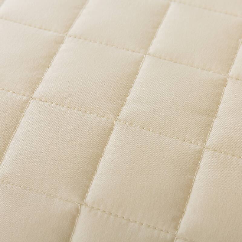 Velvet Trim Down Alternative Blanket