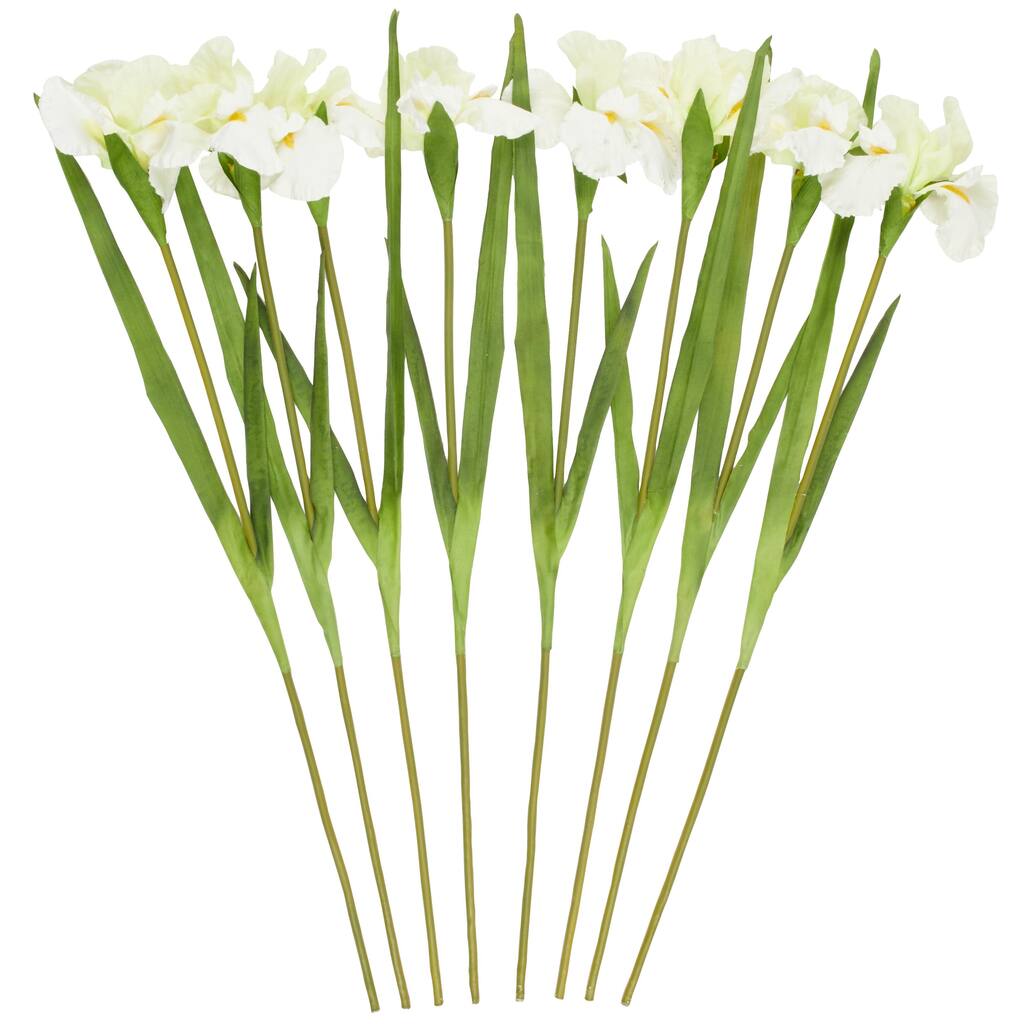 Polyester Iris Tall Artificial Flower Stem - Set of 8 White - Roche River Decor
