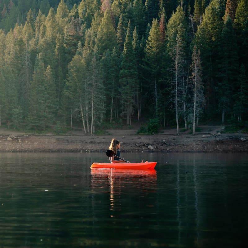 Lifetime Wave Sit-on-Top Youth Kayak