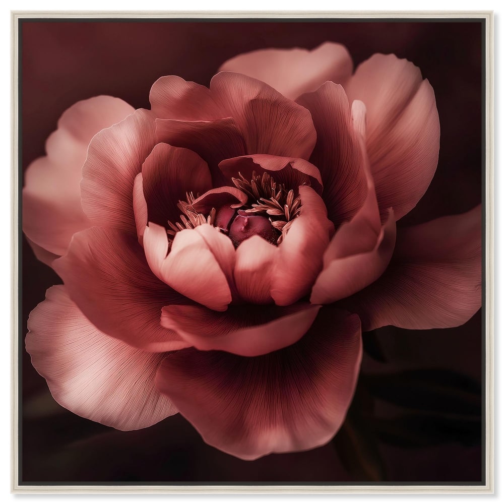 Velvety Richness I Canvas by Art Remedy