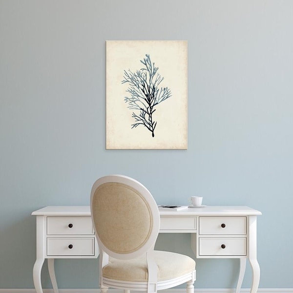 Easy Art Prints Naomi McCavitt's 'Seaweed Specimens IV' Premium Canvas Art