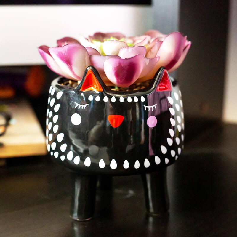 Faux Succulent in 4.75" Small Black Cat Ceramic Planter