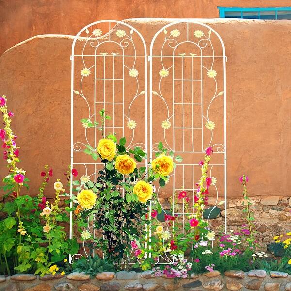 2/4 Pack Garden Trellis for Climbing Plants, 86.7" x 19.7" Metal Plant  Trellis for Potted Plant Support Tall Wall Iron Trellis - On Sale - Bed  Bath & Beyond - 40519366