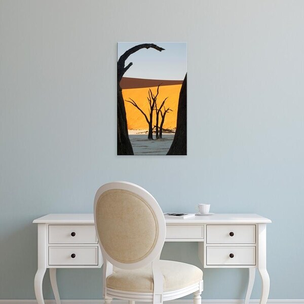 Easy Art Prints Jaynes Gallery's 'Namib