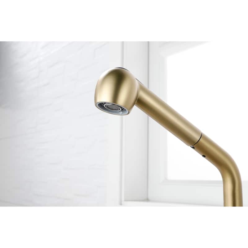 Utility Sink Faucets Single-Handle Pull-Out Laundry Faucet with Dual Spray Function in Stainless Spot Resistant Gold