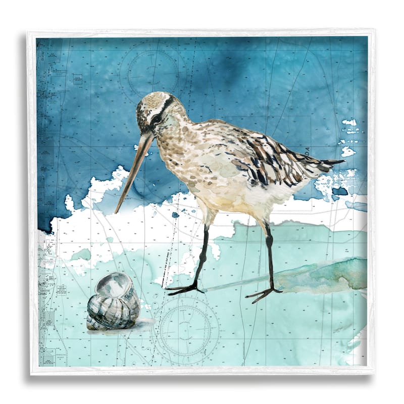 Stupell Beach Bird Round Shell Blue Ocean Coastal Map Framed Wall Art - 24 x 24 - White