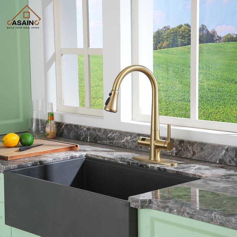 Single Handle Pull-Down Sprayer Kitchen Faucet