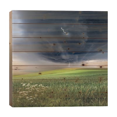 June Storm Print On Wood by Franz Schumacher - Multi-Color