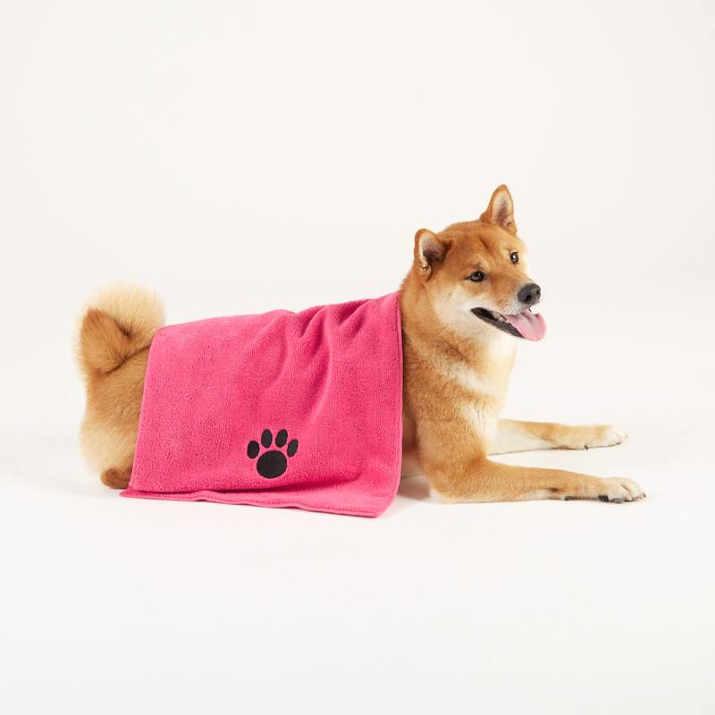 Embroidered Paw Small Pet Towel Set of 3