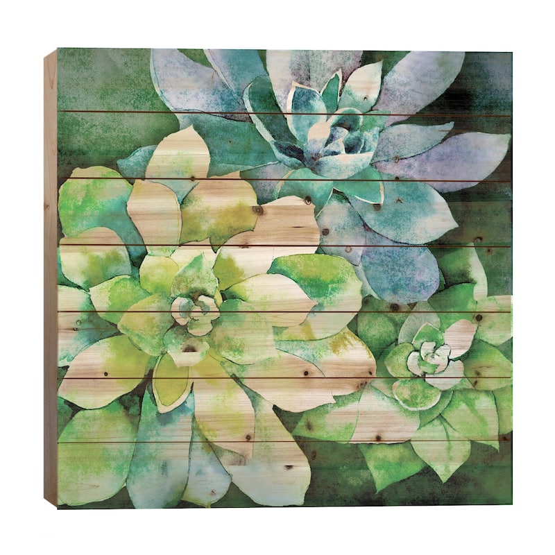 Summer Succulents Print On Wood by Conrad Knutsen - Multi-Color - 26x26x1.5