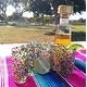 preview thumbnail 2 of 4, Dos Suenos Hand Blown Mexican Tequila Glasses - Set of 6 Confetti Design Tequila Shot Glasses (2 oz each)