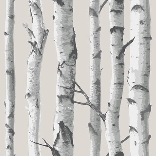 Birch Tree Peel & Stick Wallpaper - 216in x 20.5in x 0.025in