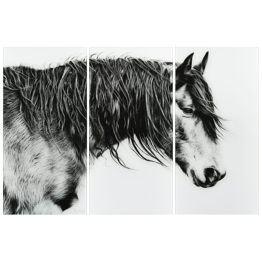 Black and White Horse Portrait ABC Frameless Free Floating Tempered Glass Panel Graphic Wall Art Set of 3