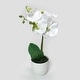 preview thumbnail 8 of 20, Artificial Phalaenopsis Orchid Flower Arrangement in White Pot 13in 13" H x 7.5" W x 5" DP - White