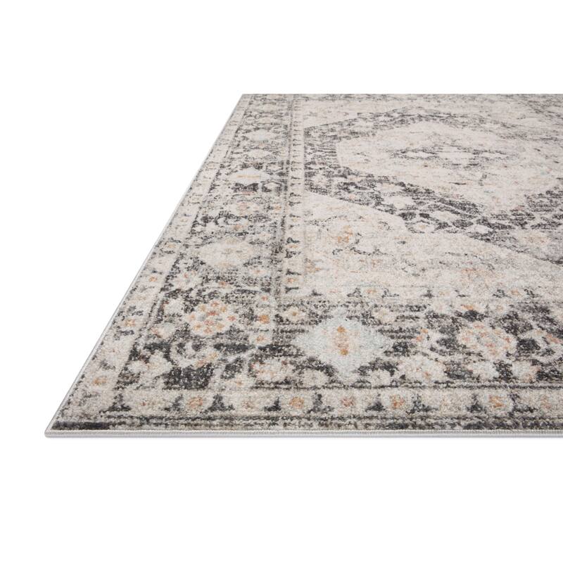 Alexander Home Marilyn Medallion Distressed Oriental Area Rug