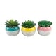 preview thumbnail 8 of 7, Succulent in Two tone lines pattern ceramic pot ,Teal - ONE-SIZE