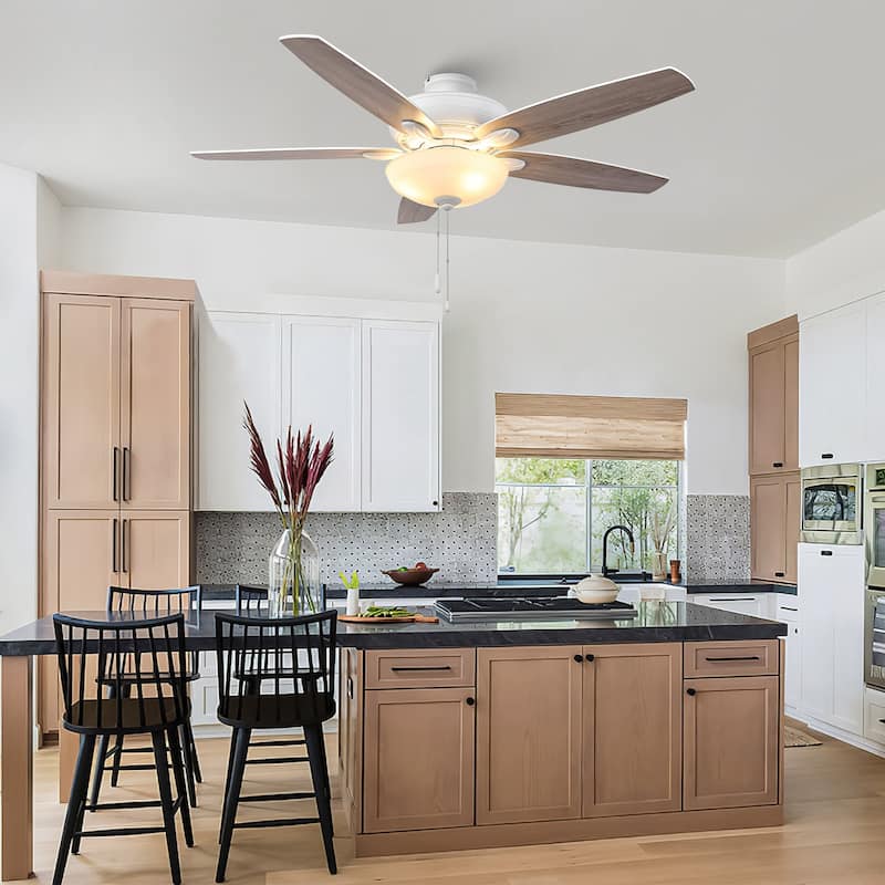 52" Coastal White Frosted Glass Ceiling Fan with Light and Pull Chain - Satin white